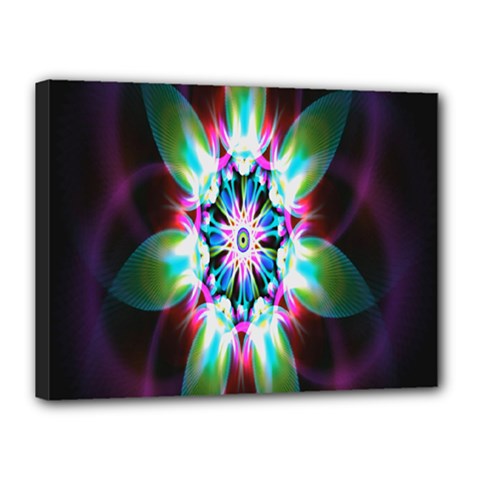 Colorful Fractal Flower Star Green Purple Canvas 16  X 12 