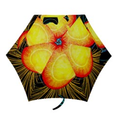 Cross Section Earth Field Lines Geomagnetic Hot Mini Folding Umbrellas by Mariart