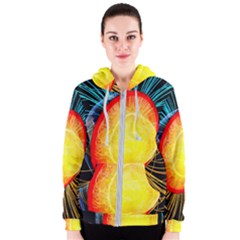 Cross Section Earth Field Lines Geomagnetic Hot Women s Zipper Hoodie by Mariart