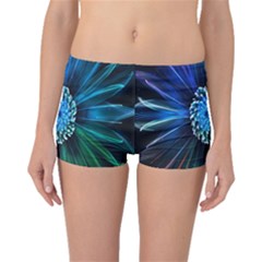 Flower Stigma Colorful Rainbow Animation Space Boyleg Bikini Bottoms by Mariart