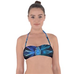 Flower Stigma Colorful Rainbow Animation Space Halter Bandeau Bikini Top