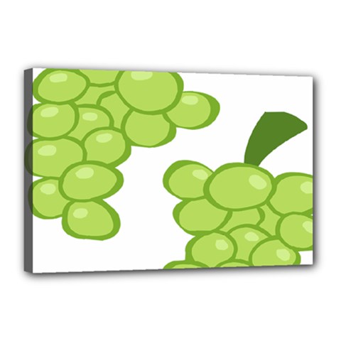 Fruit Green Grape Canvas 18  X 12 