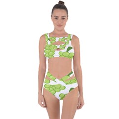 Fruit Green Grape Bandaged Up Bikini Set  by Mariart