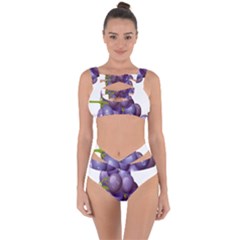 Grape Fruit Bandaged Up Bikini Set  by Mariart