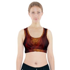 High Res Nostars Orange Gold Sports Bra With Pocket by Mariart