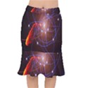 Highest Resolution Version Space Net Mermaid Skirt View1