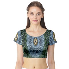 Hipnotic Star Space White Green Short Sleeve Crop Top