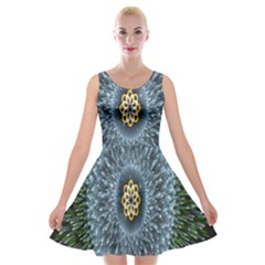 Hipnotic Star Space White Green Velvet Skater Dress