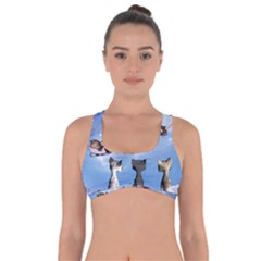 Christmas, Cute Cats Looking In The Sky To Santa Claus Got No Strings Sports Bra by FantasyWorld7