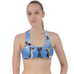 Christmas, Cute Cats Looking In The Sky To Santa Claus Criss Cross Racerback Sports Bra by FantasyWorld7