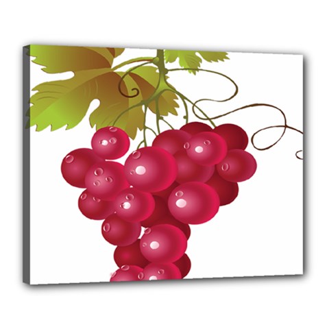 Red Fruit Grape Canvas 20  X 16  by Mariart