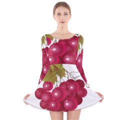 Red Fruit Grape Long Sleeve Velvet Skater Dress