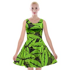 Nature Print Pattern Velvet Skater Dress by dflcprints