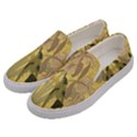 Art nouveau Men s Canvas Slip Ons View2