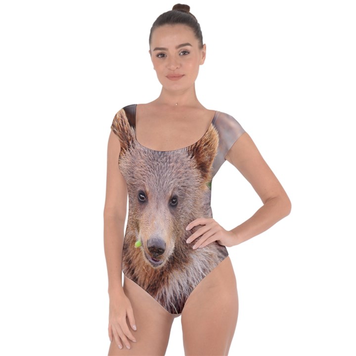 Baby Bear Animals Short Sleeve Leotard 