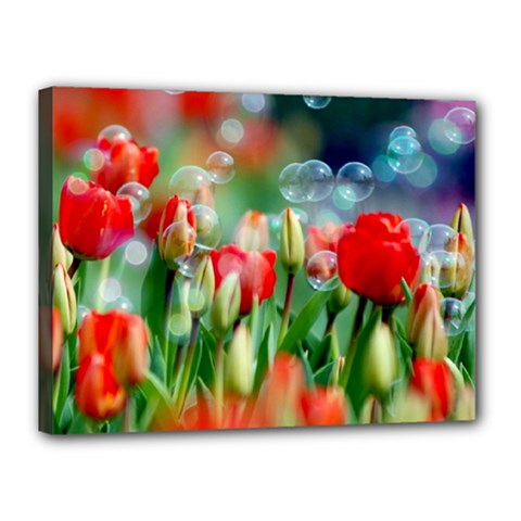 Colorful Flowers Canvas 16  X 12  by Mariart