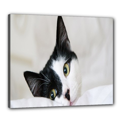 Cat Face Cute Black White Animals Canvas 24  X 20 