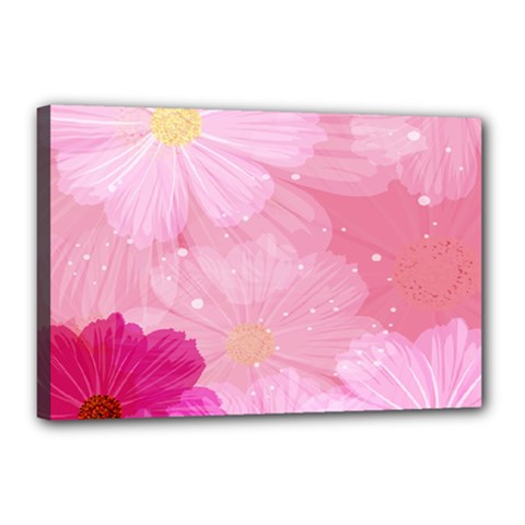 Cosmos Flower Floral Sunflower Star Pink Frame Canvas 18  X 12 