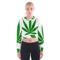 Marijuana Weed Drugs Neon Cannabis Green Leaf Sign Cropped Sweatshirt