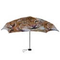 Tiger Beetle Lion Tiger Animals Mini Folding Umbrellas View3