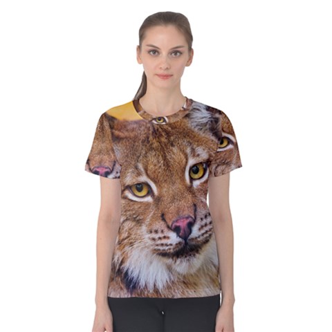 Tiger Beetle Lion Tiger Animals Women s Cotton Tee by Mariart