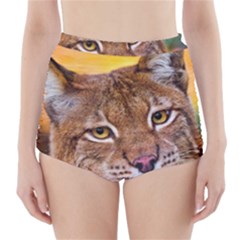 Tiger Beetle Lion Tiger Animals High-waisted Bikini Bottoms