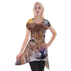 Tiger Beetle Lion Tiger Animals Short Sleeve Side Drop Tunic by Mariart