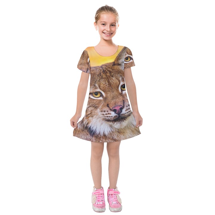 Tiger Beetle Lion Tiger Animals Kids  Short Sleeve Velvet Dress