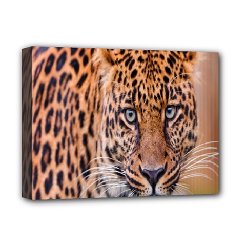 Tiger Beetle Lion Tiger Animals Leopard Deluxe Canvas 16  X 12  