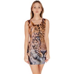 Tiger Beetle Lion Tiger Animals Leopard Bodycon Dress by Mariart