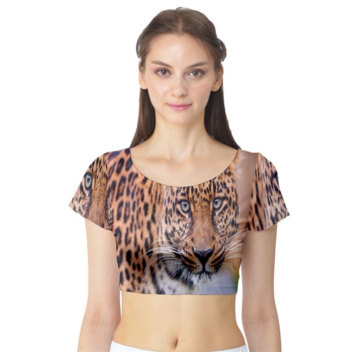 Tiger Beetle Lion Tiger Animals Leopard Short Sleeve Crop Top