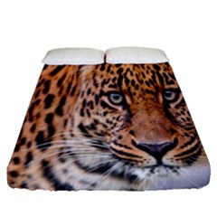 Tiger Beetle Lion Tiger Animals Leopard Fitted Sheet (queen Size) by Mariart