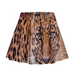 Tiger Beetle Lion Tiger Animals Leopard Mini Flare Skirt by Mariart