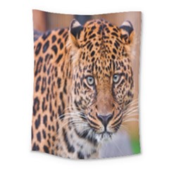 Tiger Beetle Lion Tiger Animals Leopard Medium Tapestry