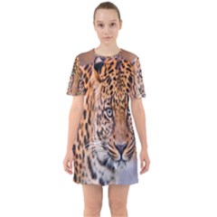 Tiger Beetle Lion Tiger Animals Leopard Sixties Short Sleeve Mini Dress