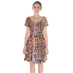 Tiger Beetle Lion Tiger Animals Leopard Short Sleeve Bardot Dress by Mariart