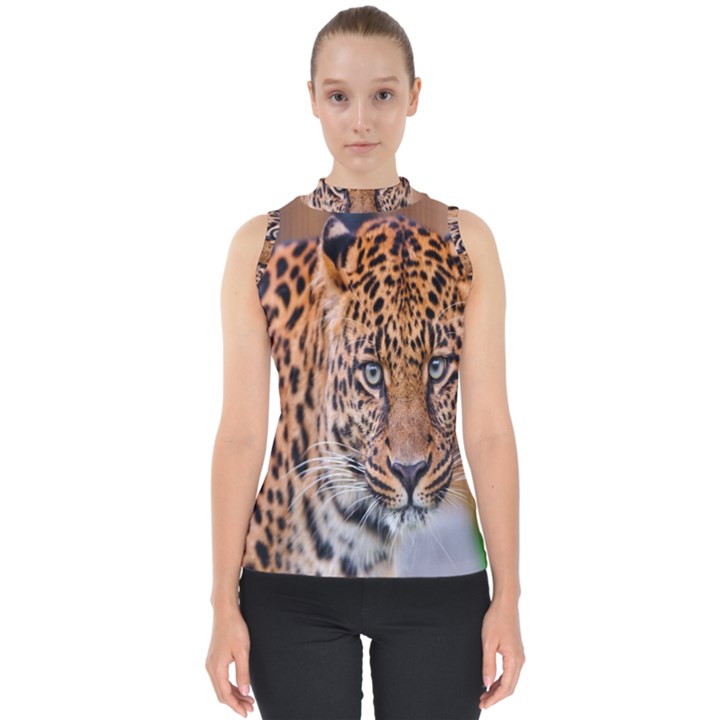 Tiger Beetle Lion Tiger Animals Leopard Shell Top