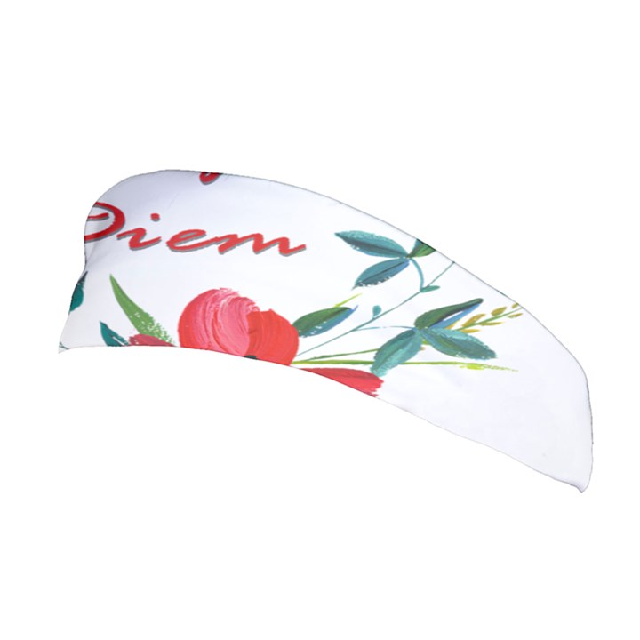 Carpe Diem  Stretchable Headband