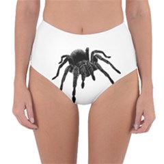 Tarantula Reversible High-waist Bikini Bottoms by Valentinaart