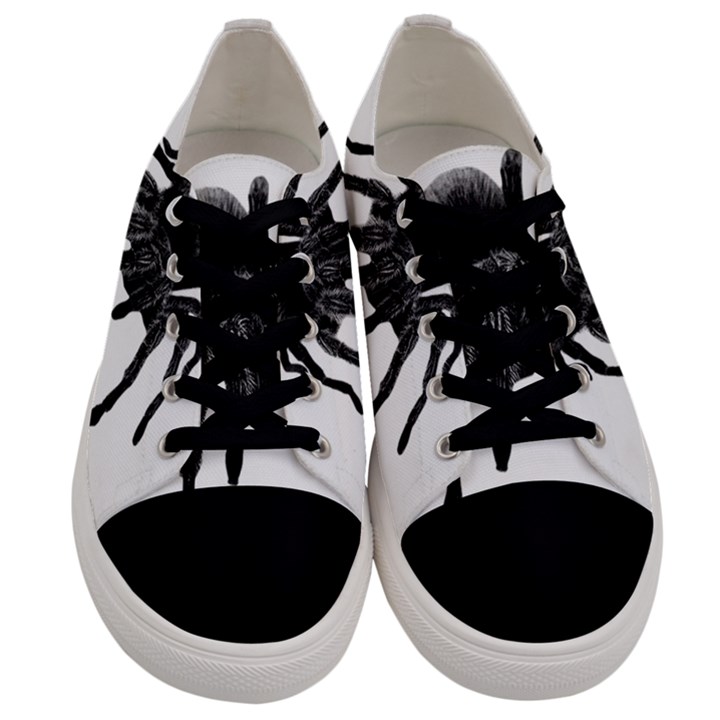 Tarantula Men s Low Top Canvas Sneakers