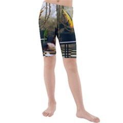 Funny Parrots In A Fantasy World Kids  Mid Length Swim Shorts by FantasyWorld7