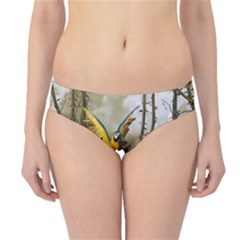 Funny Parrots In A Fantasy World Hipster Bikini Bottoms by FantasyWorld7