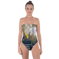 Funny Parrots In A Fantasy World Tie Back One Piece Swimsuit by FantasyWorld7