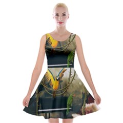 Funny Parrots In A Fantasy World Velvet Skater Dress by FantasyWorld7