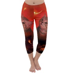 Cute Little Kitten, Red Background Capri Winter Leggings  by FantasyWorld7