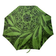 Marijuana Plants Pattern Folding Umbrellas by dflcprints