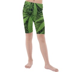 Marijuana Plants Pattern Kids  Mid Length Swim Shorts by dflcprints