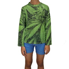 Marijuana Plants Pattern Kids  Long Sleeve Swimwear by dflcprints