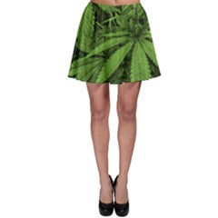 Marijuana Plants Pattern Skater Skirt by dflcprints