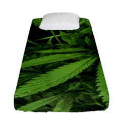 Marijuana Plants Pattern Fitted Sheet (single Size) by dflcprints